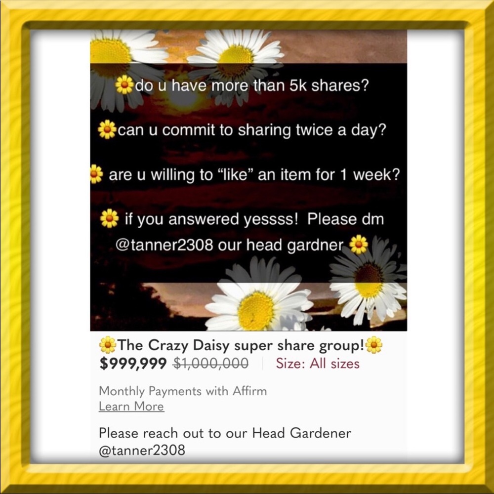 Crazy Daisy Share Group